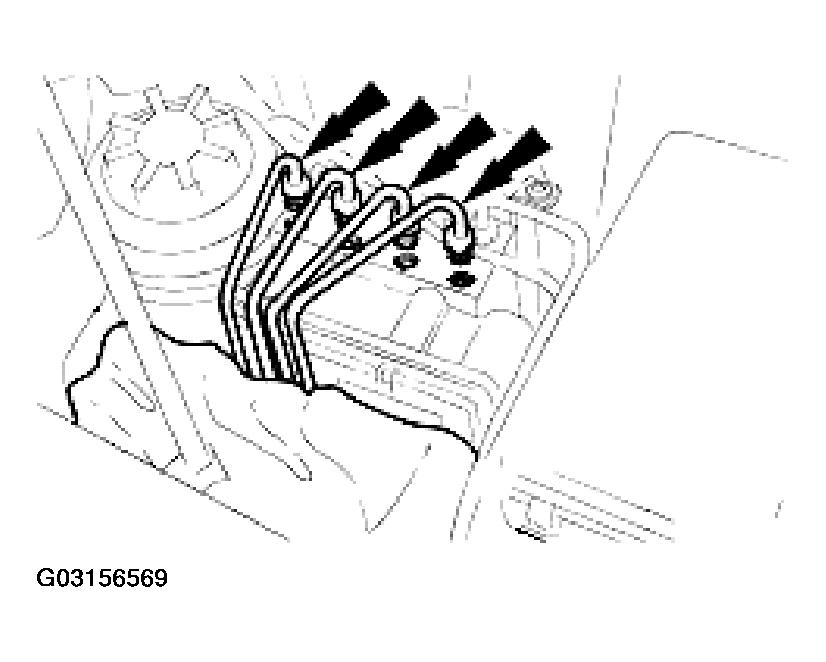 G03156569