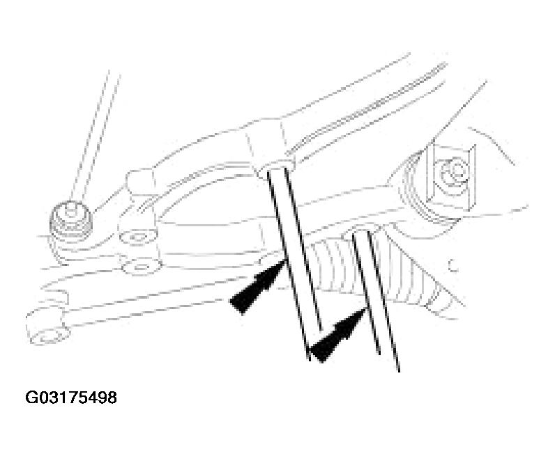 G03175498