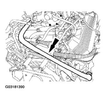 G03181390