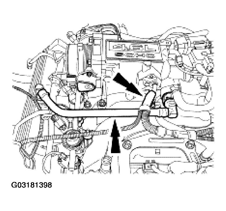G03181398