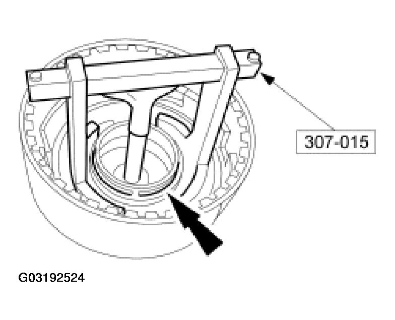 G03192524