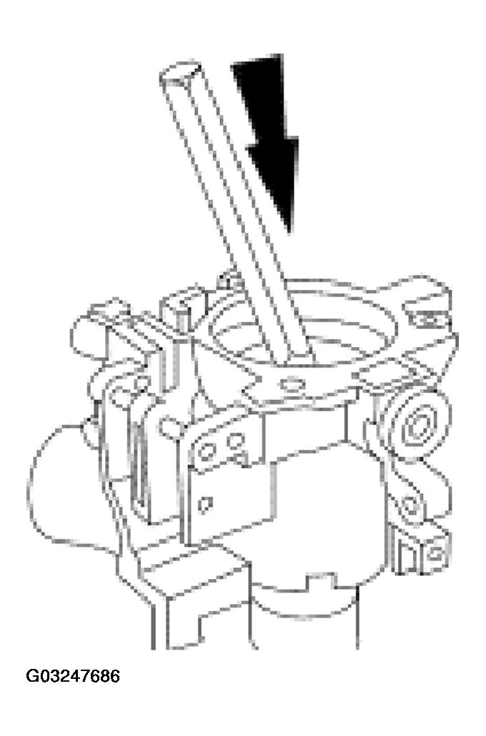 G03247686