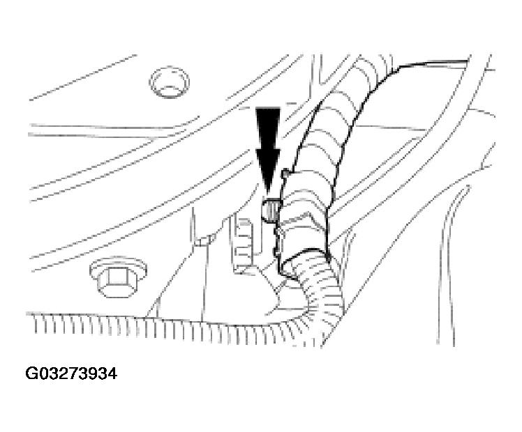G03273934