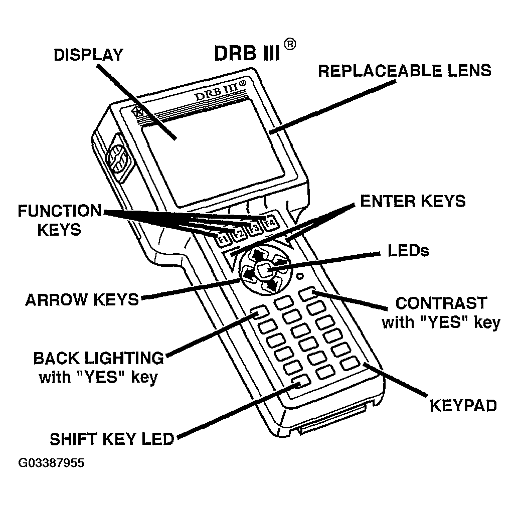 G03387955