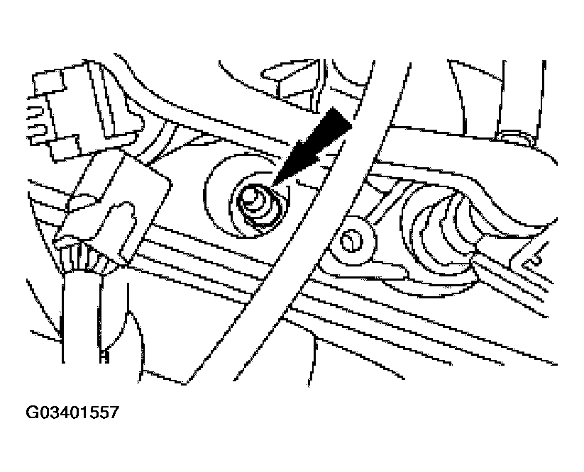 G03401557