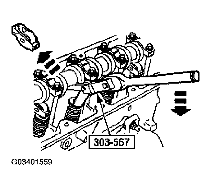 G03401559