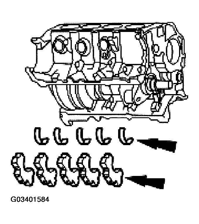 G03401584