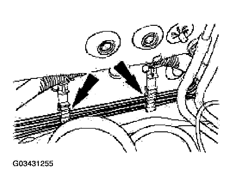 G03431255