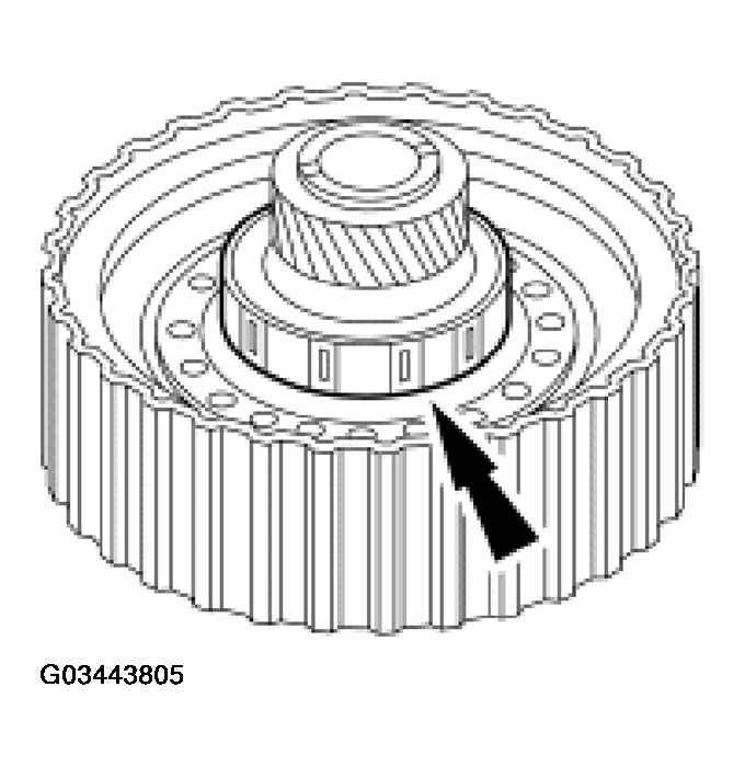 G03443805