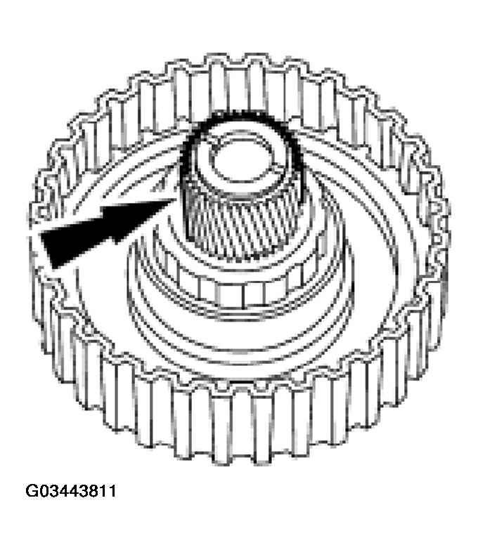 G03443811