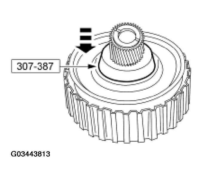 G03443813
