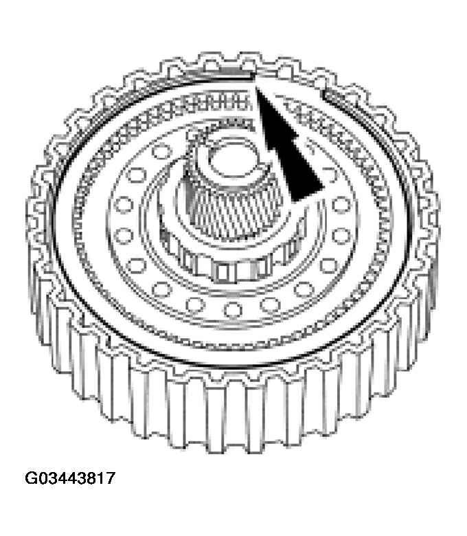 G03443817