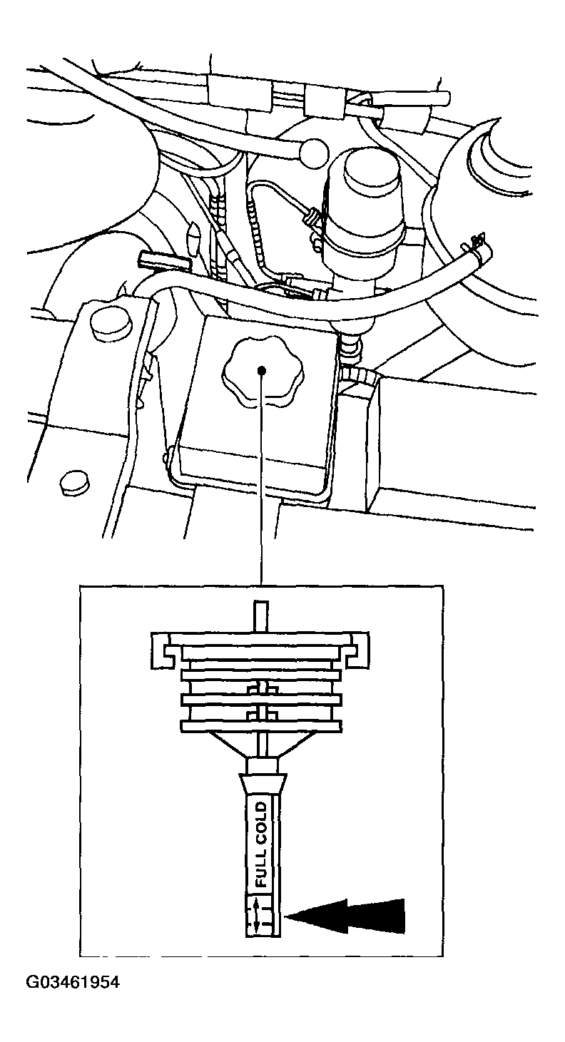 G03461954