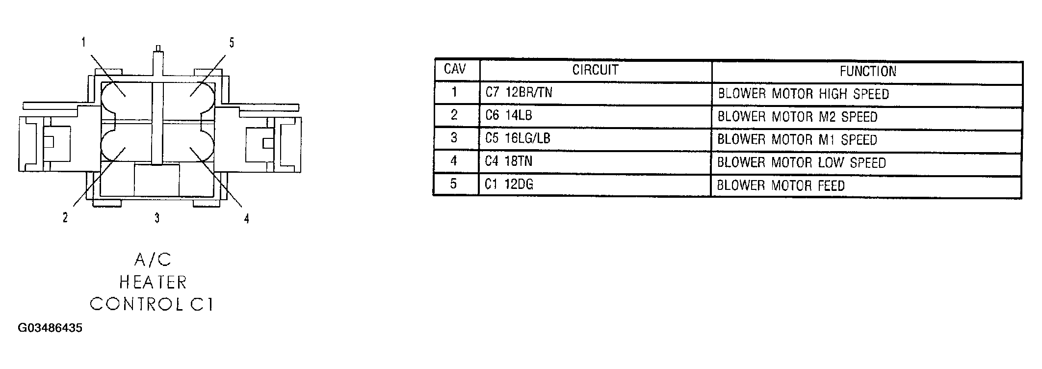 G03486435
