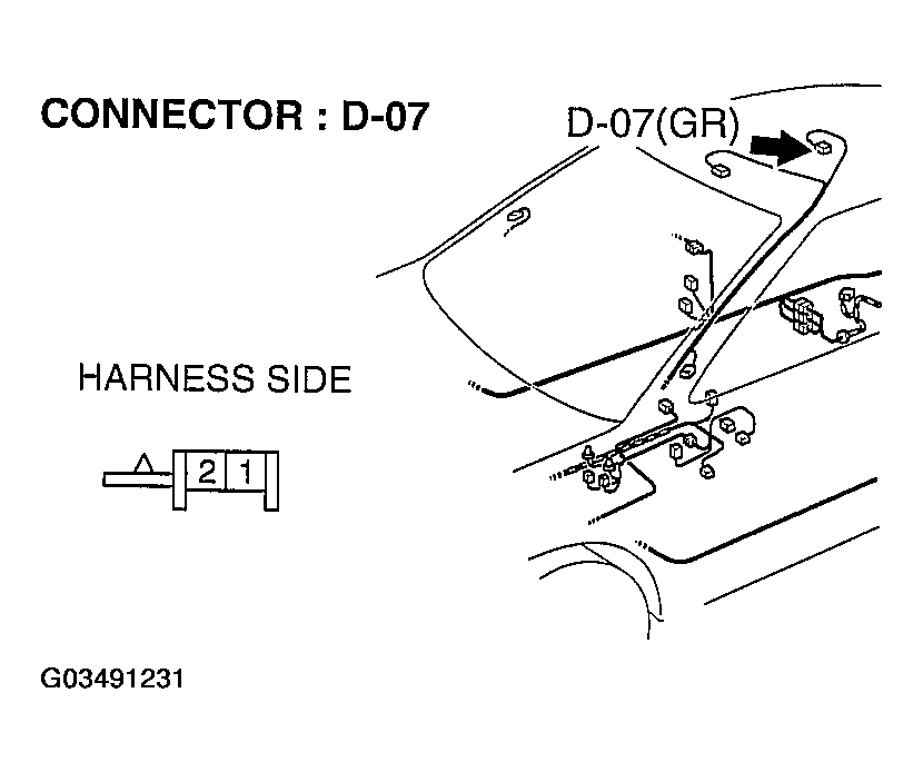 G03491231
