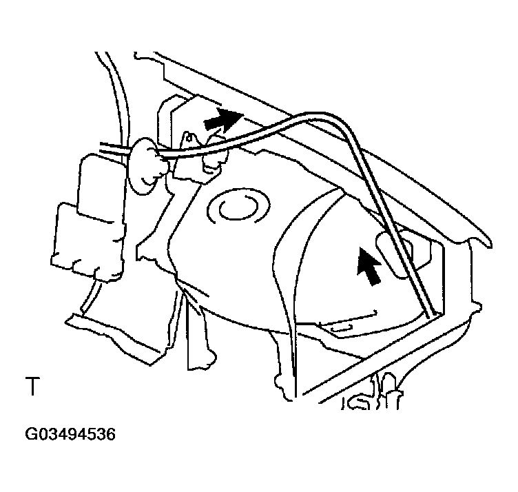 G03494536