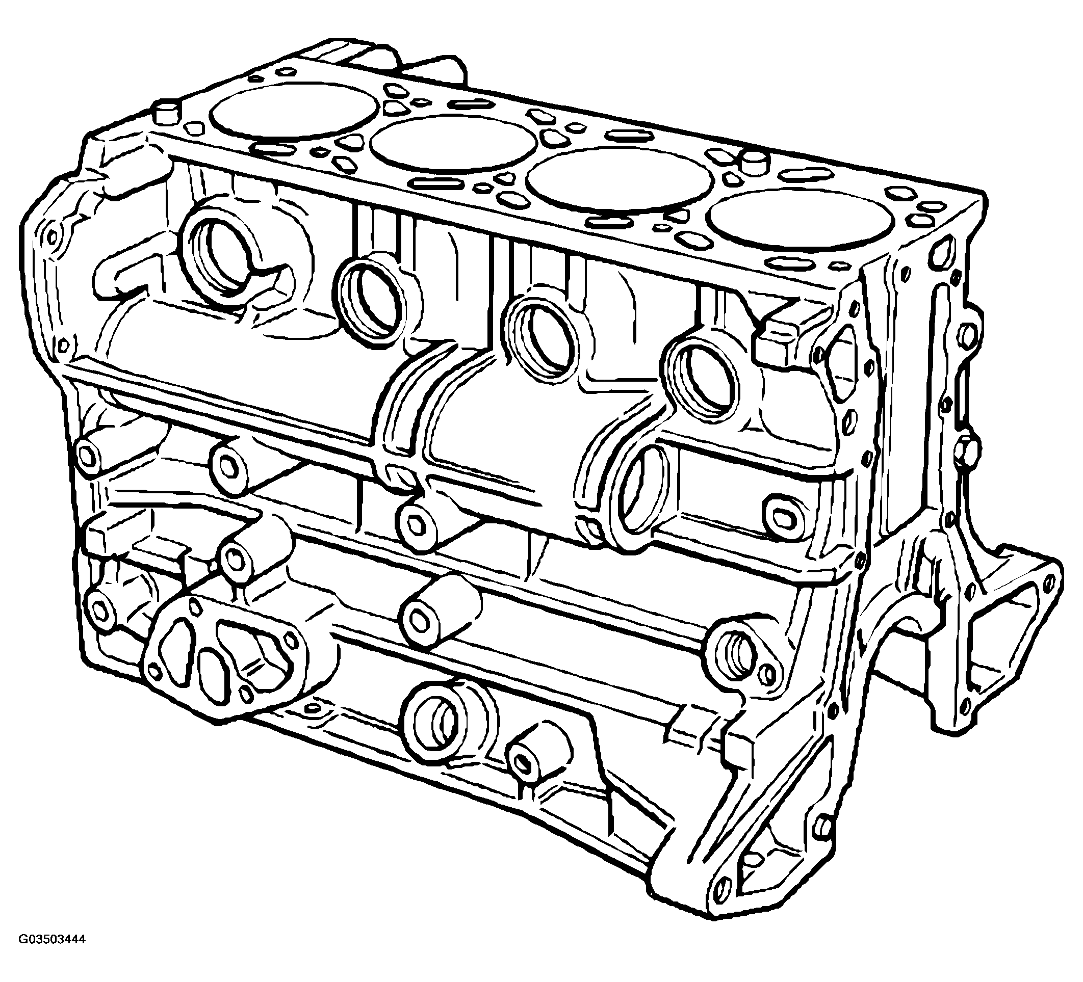 G03503444