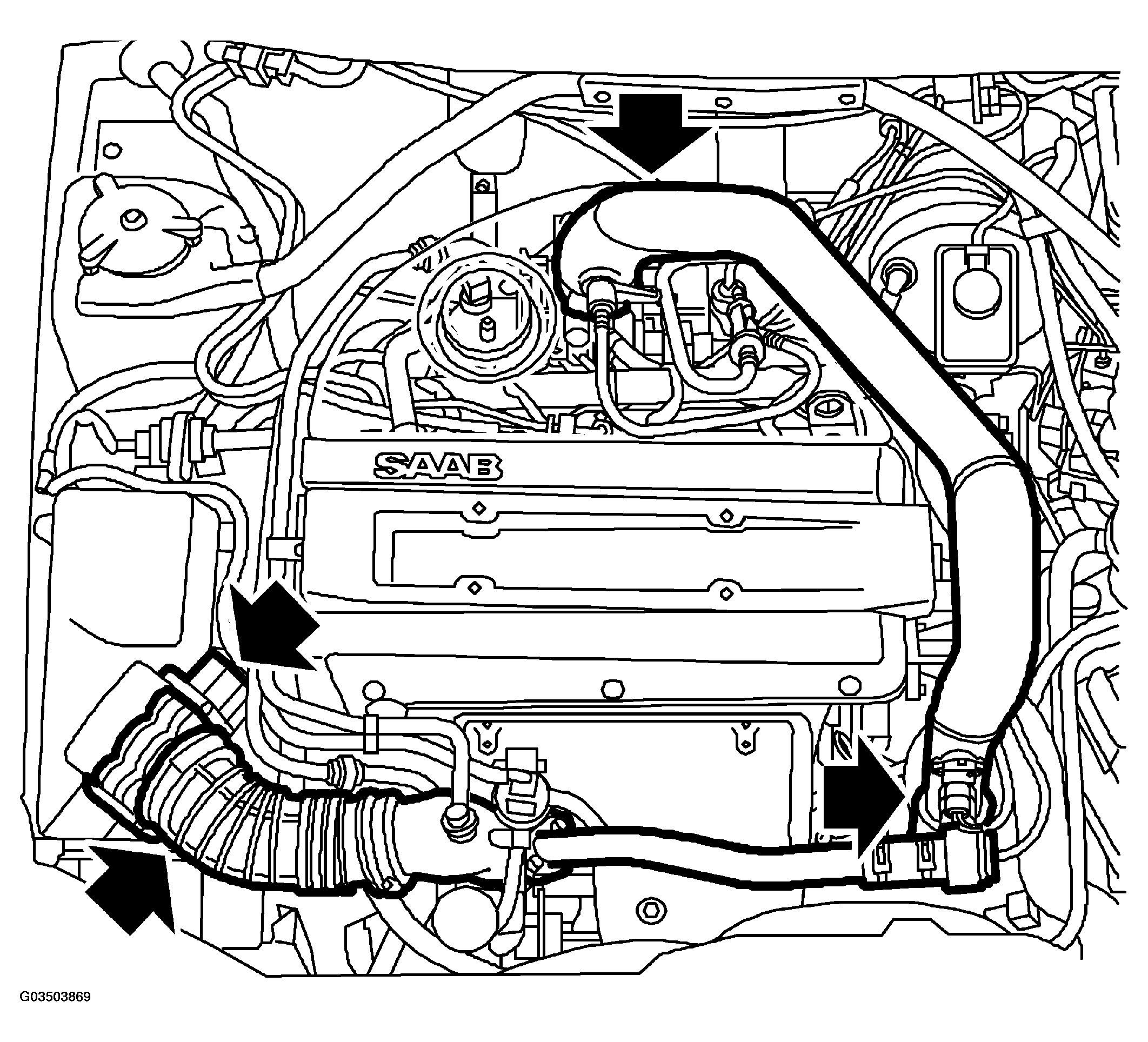 G03503869