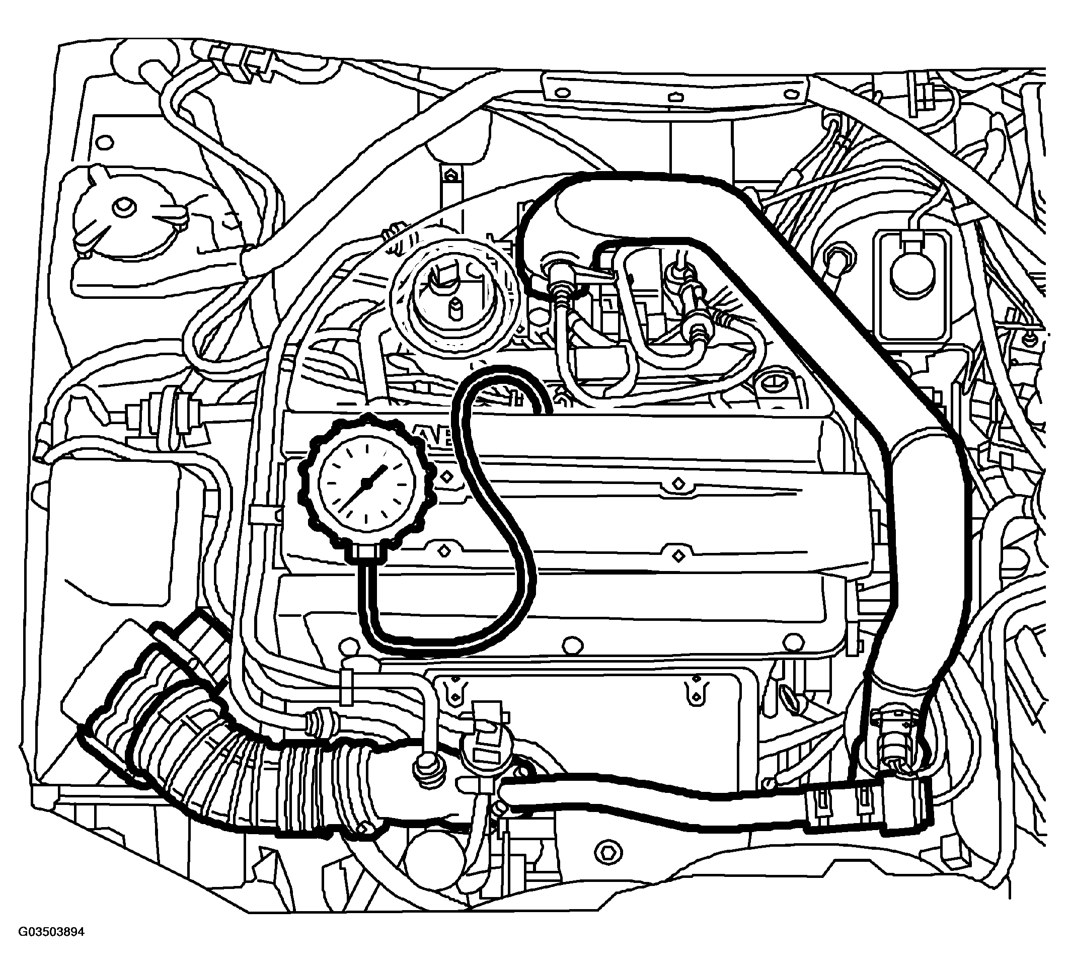 G03503894