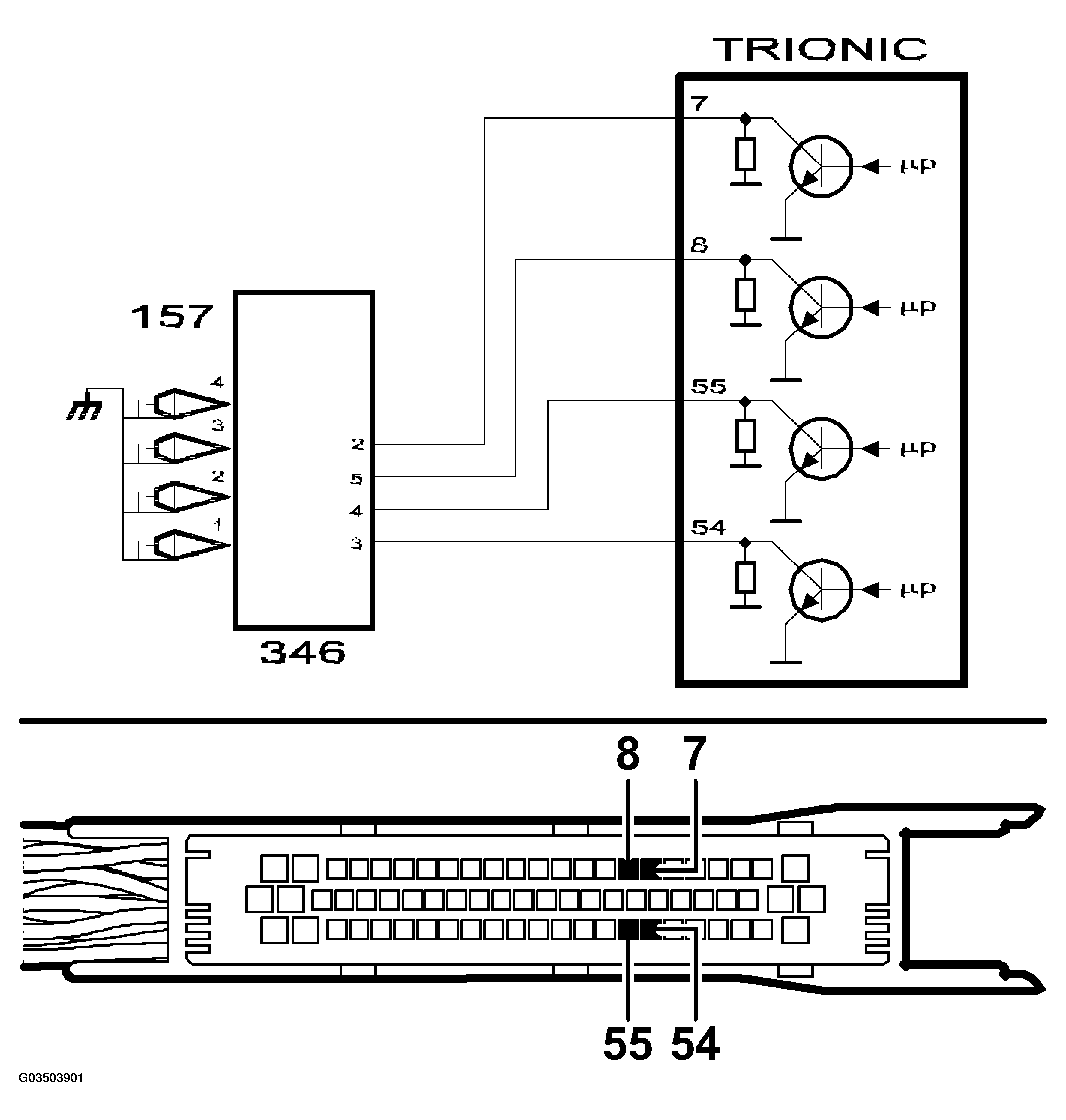 G03503901