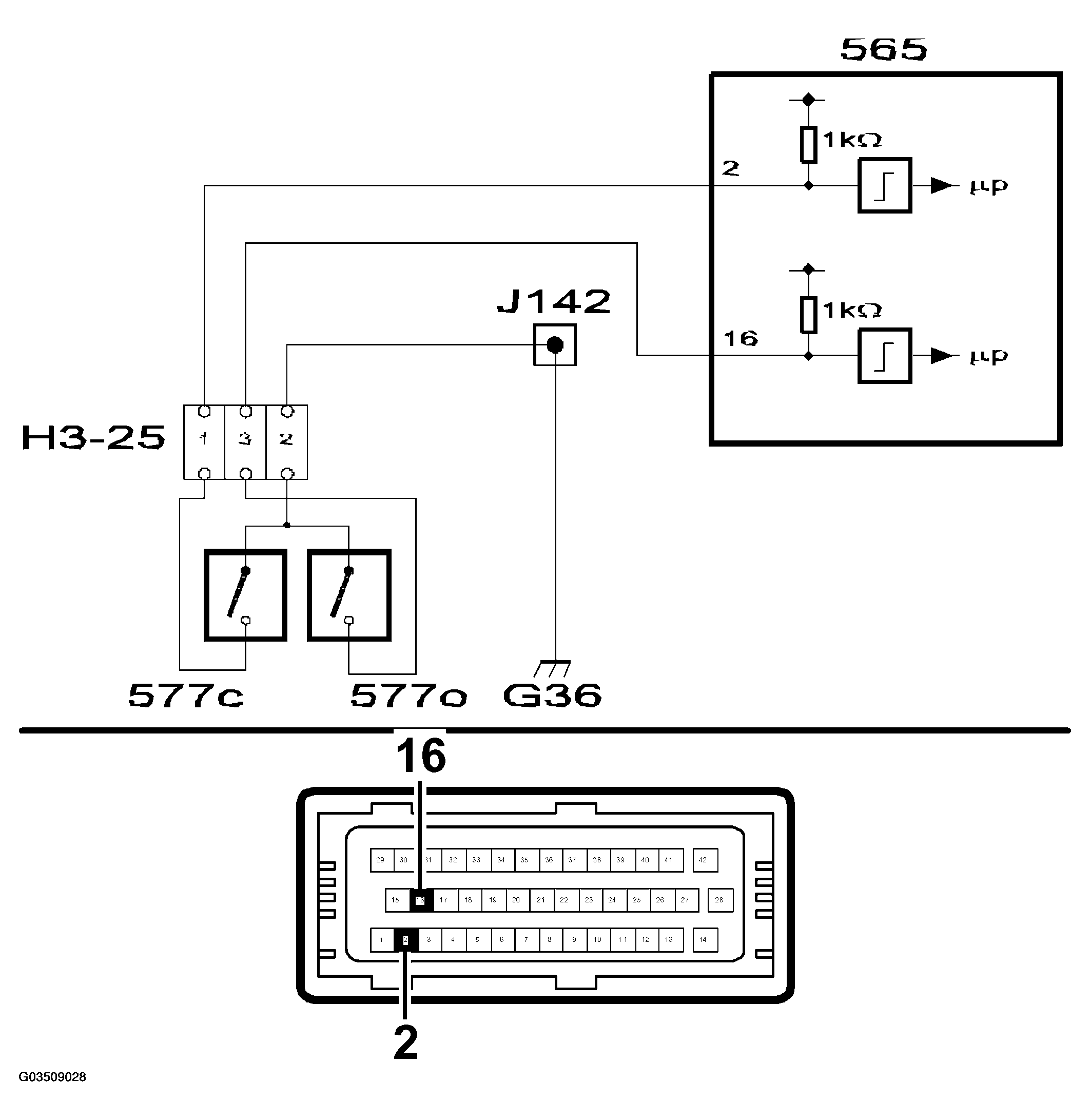 G03509028