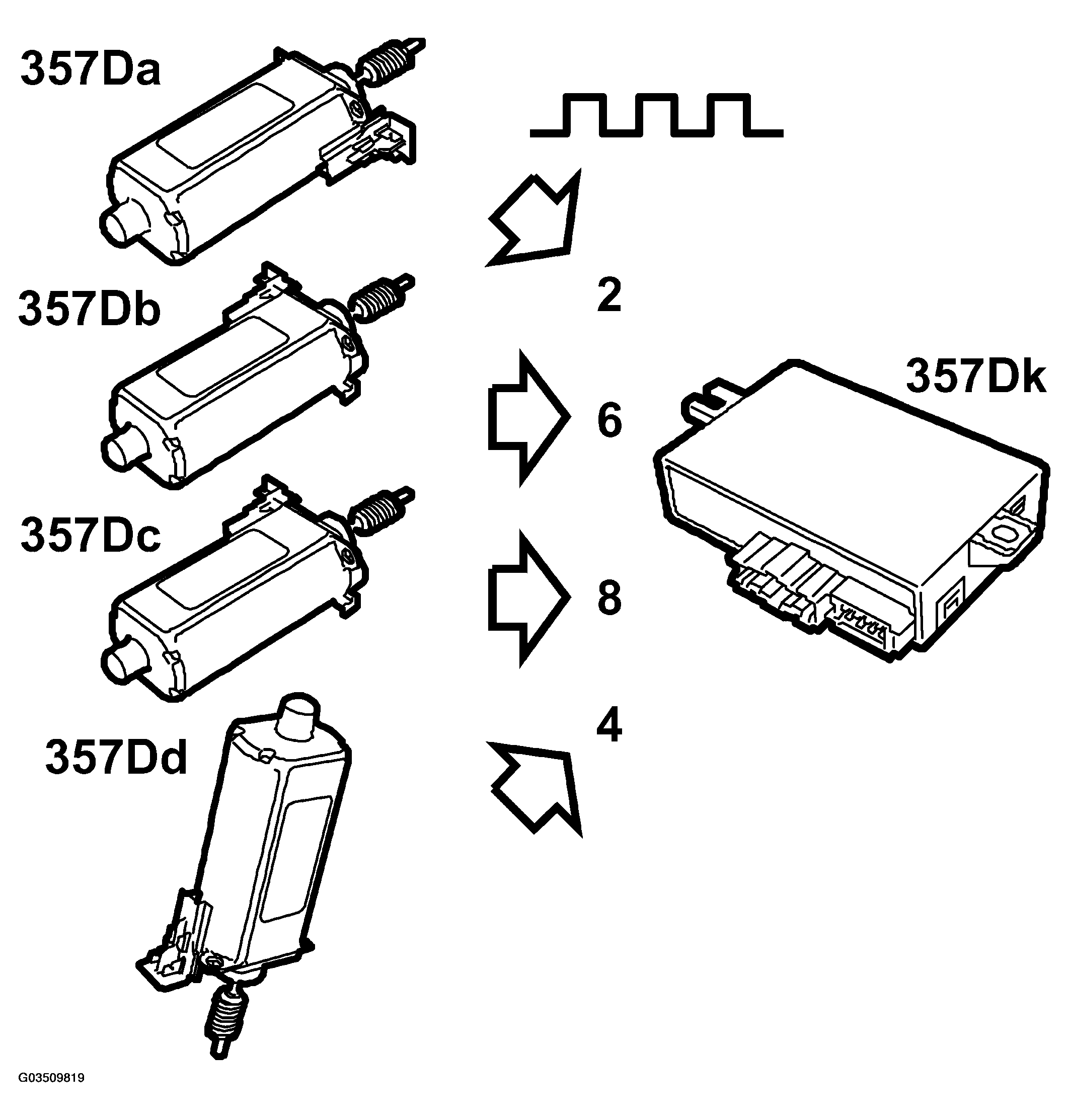 G03509819