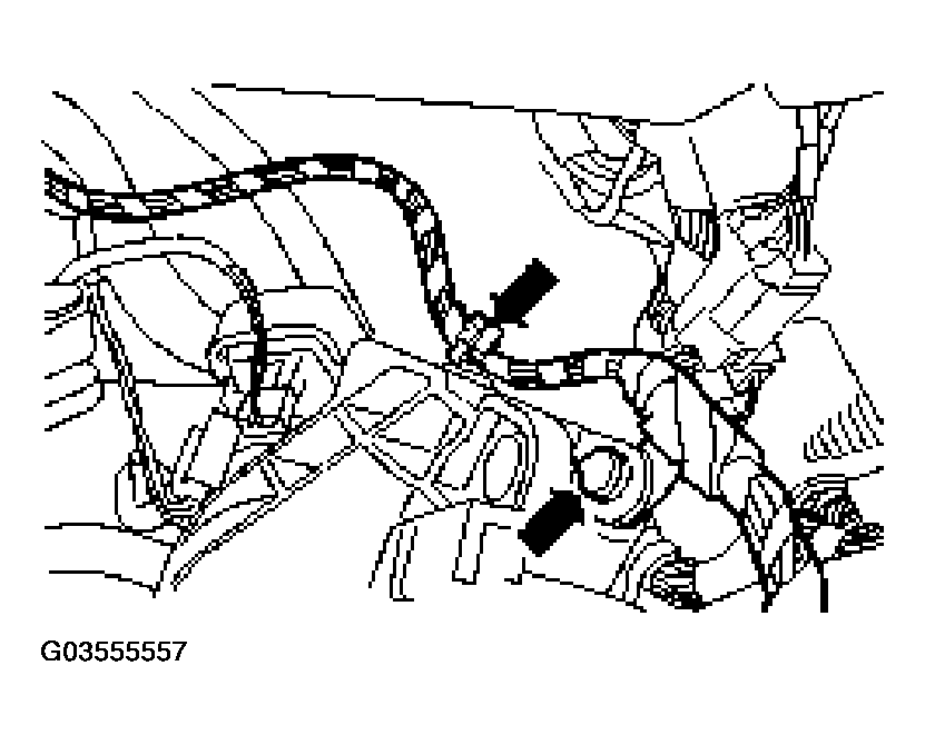 G03555557