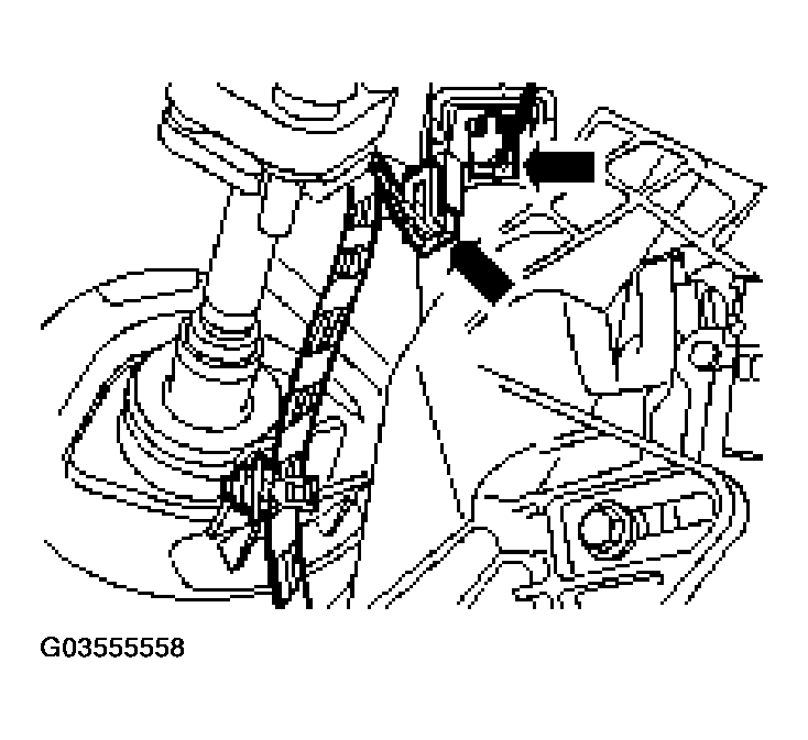G03555558