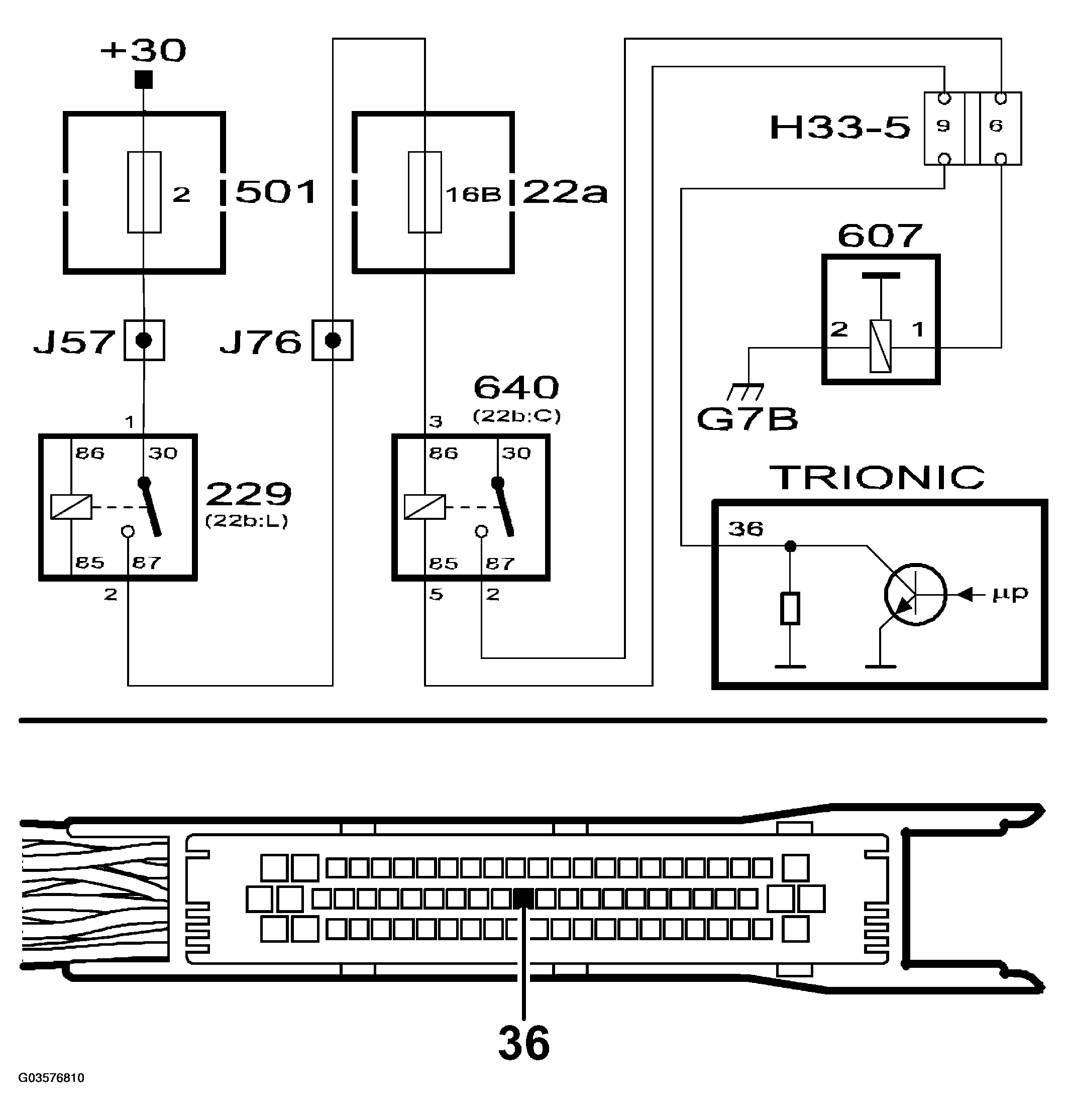 G03576810