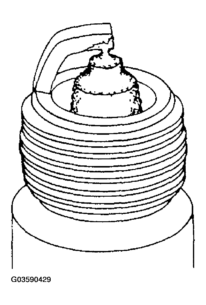 G03590429