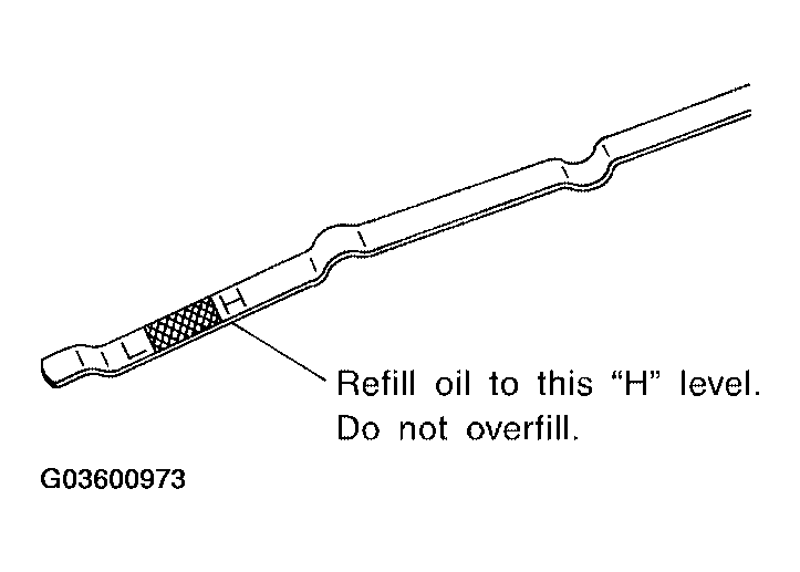 G03600973