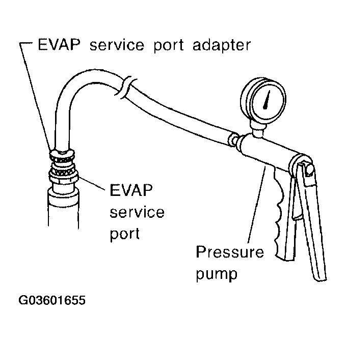 G03601655