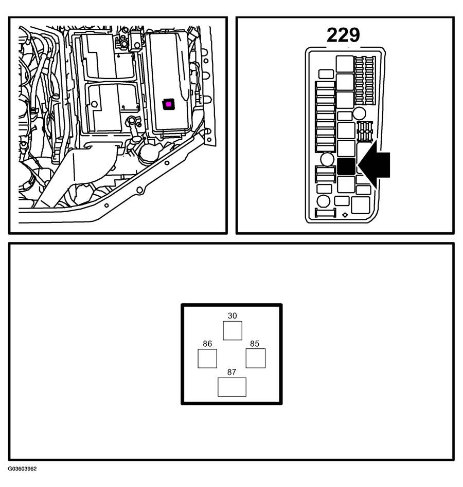G03603962