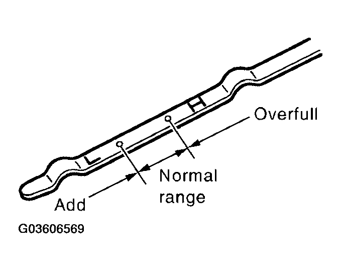 G03606569