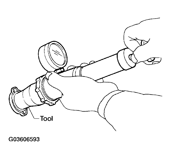 G03606593