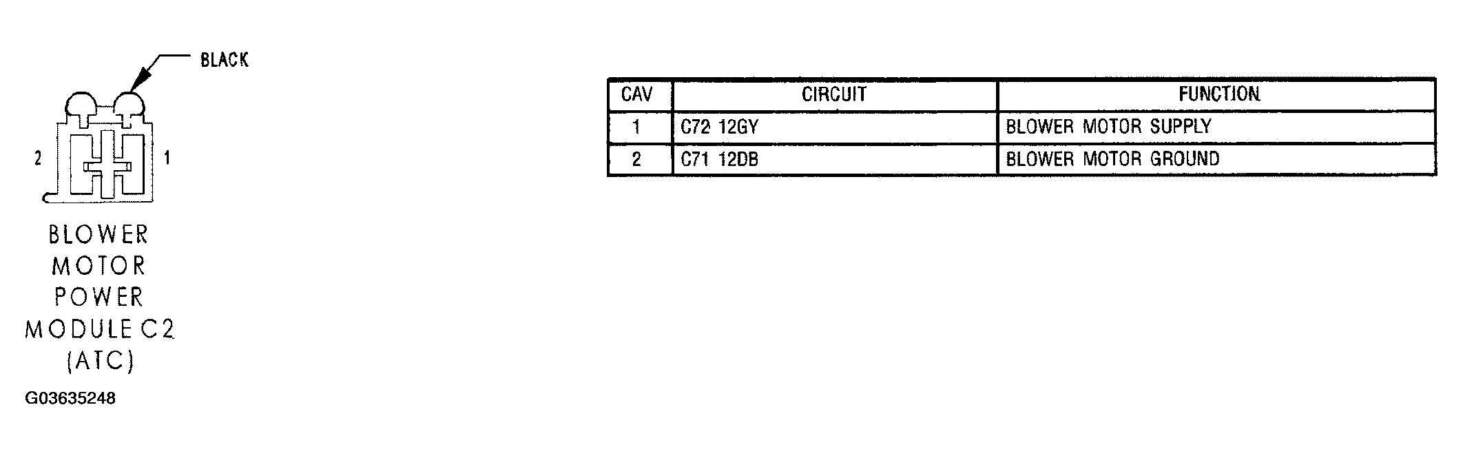 G03635248