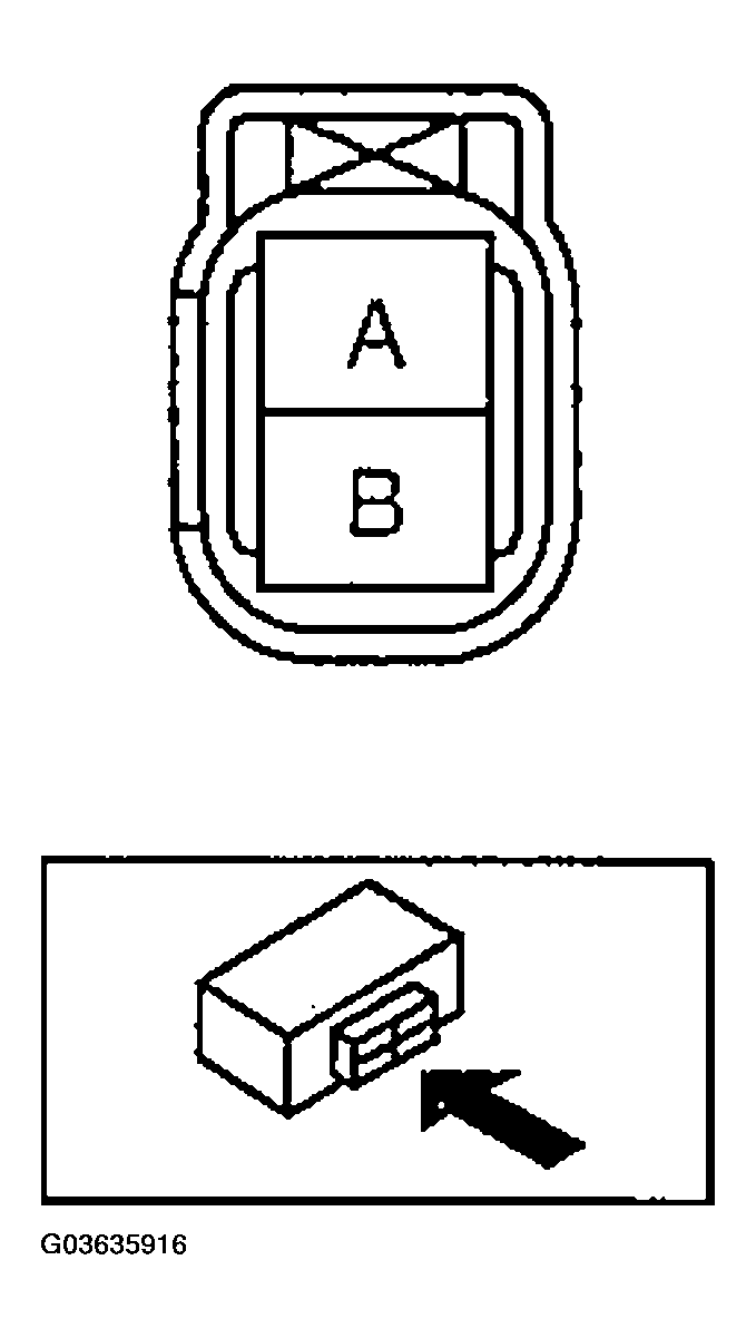 G03635916