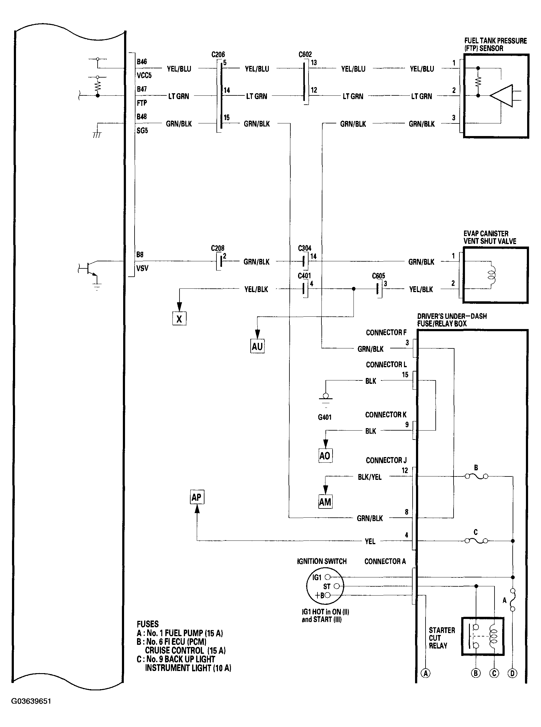 G03639651