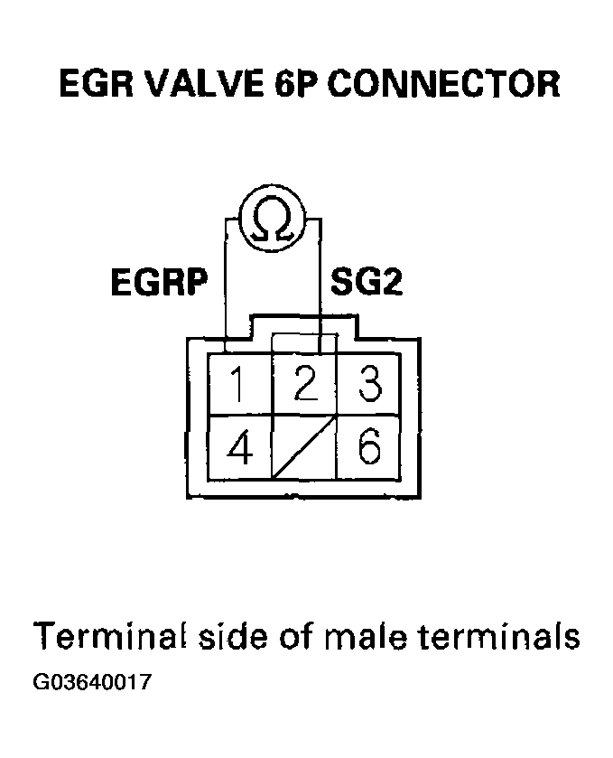G03640017