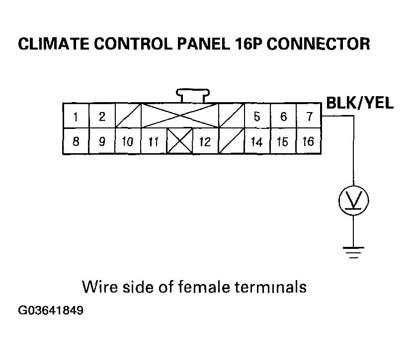 G03641849