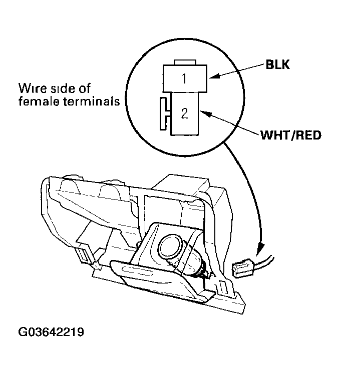 G03642219