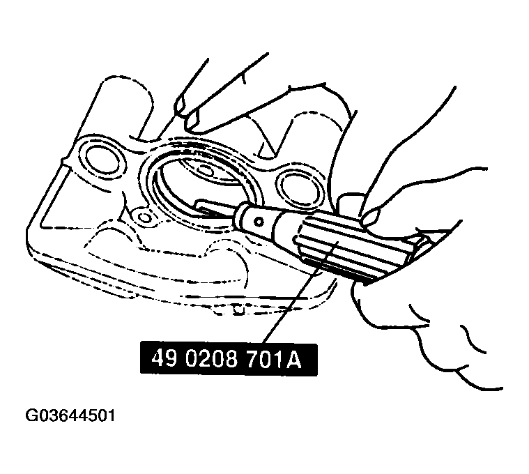 G03644501