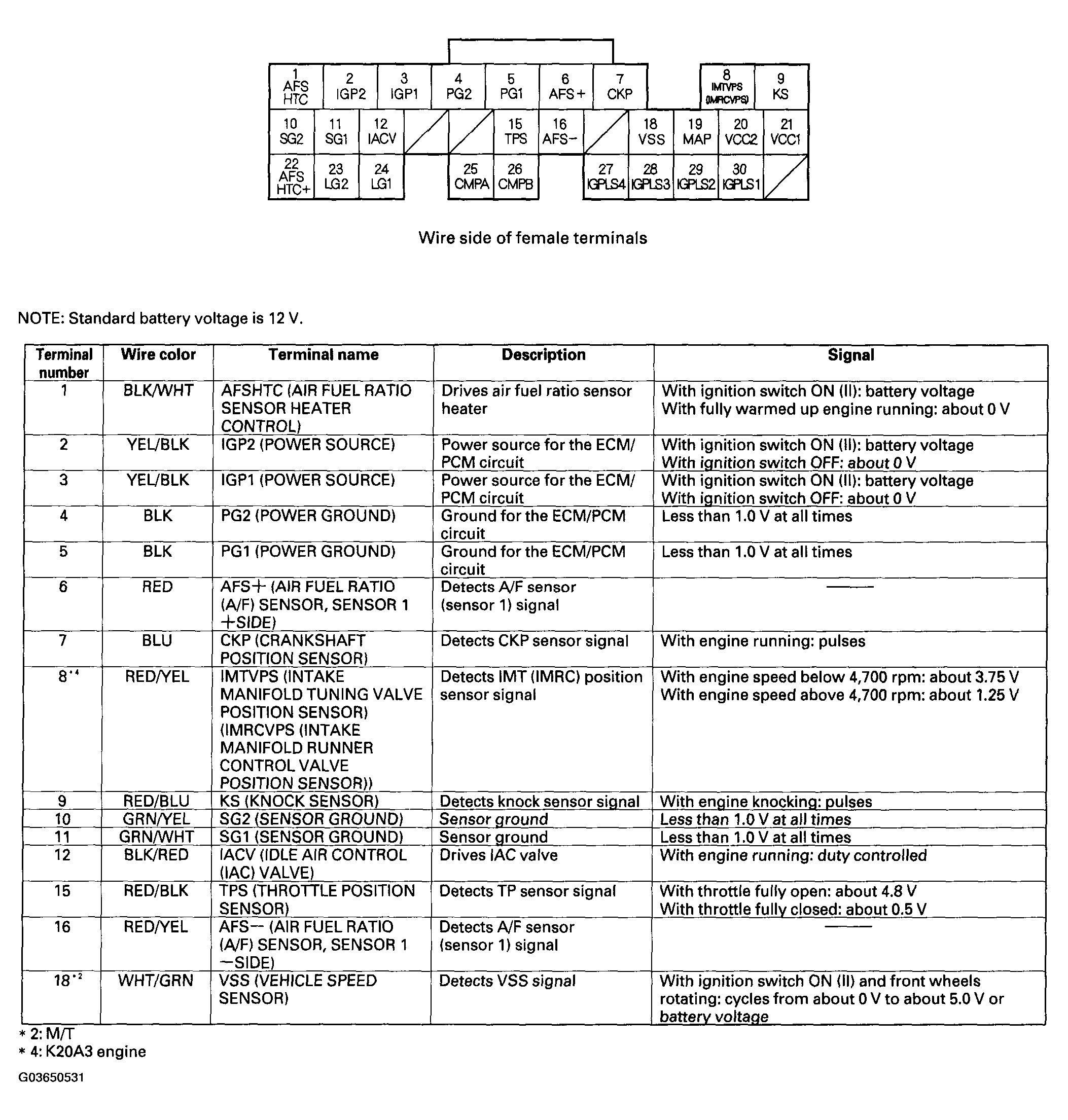 G03650531