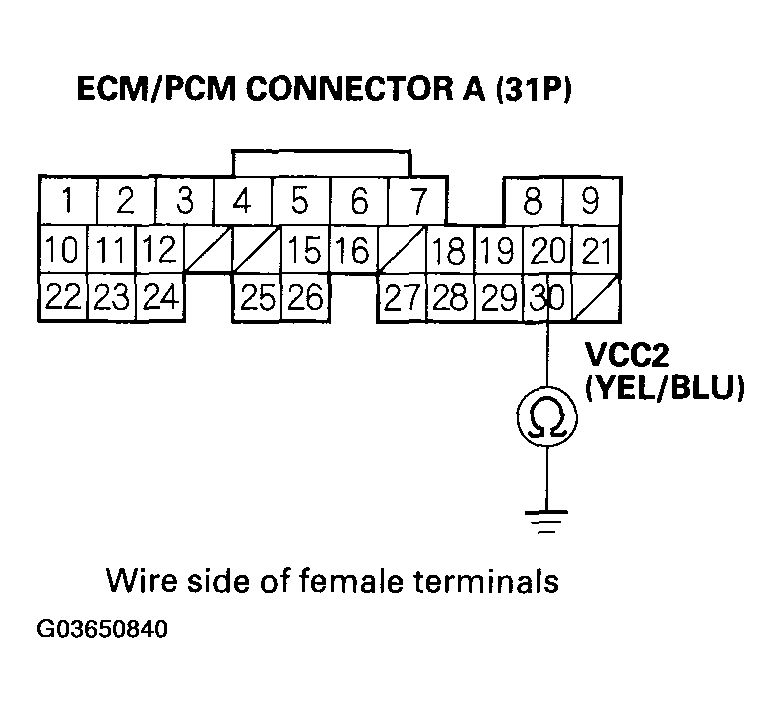 G03650840