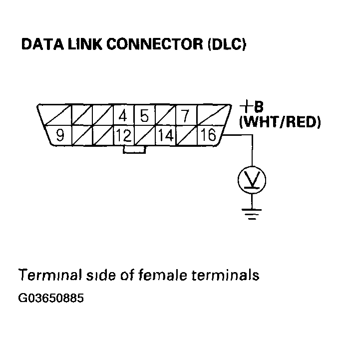 G03650885