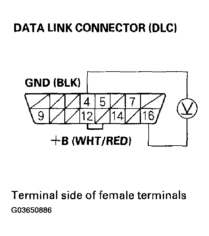 G03650886
