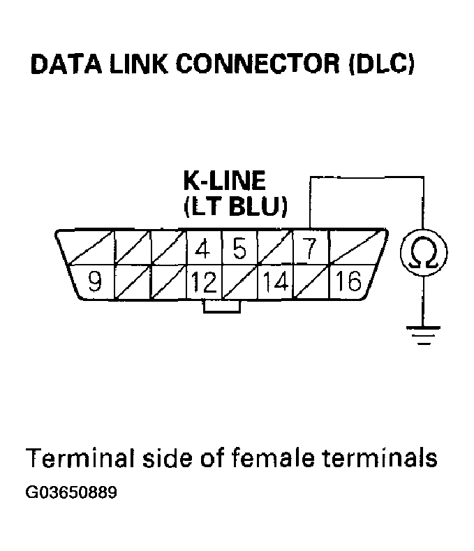 G03650889