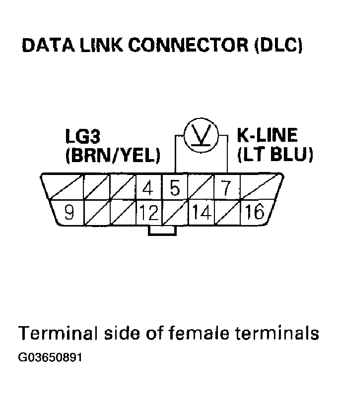 G03650891