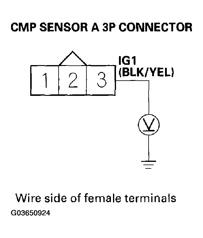 G03650924