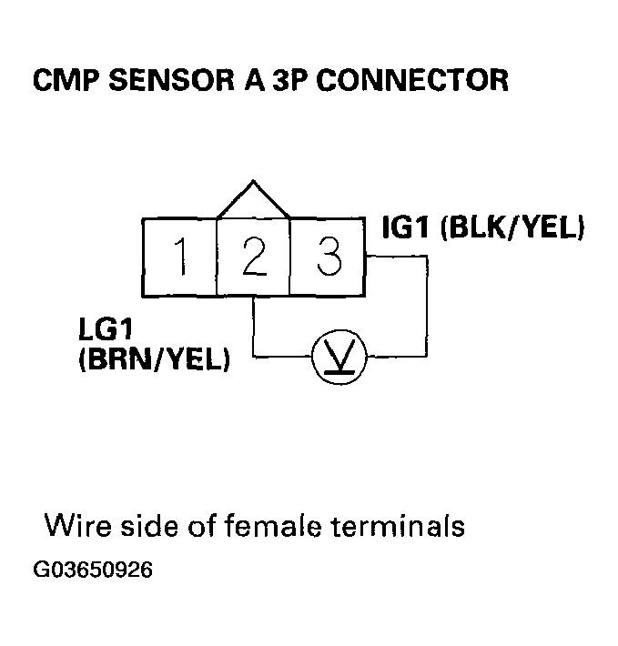G03650926